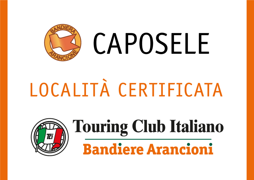 Logo Bandiera arancione